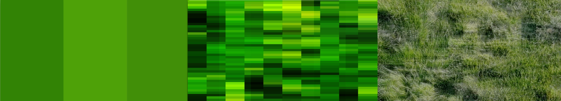 image-right